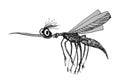 Mosquito character with cartoon style. A thin insect with wings and a stinger.