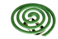 Mosquito Coil