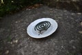 Mosquito coil on a white plate