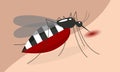 Mosquito Drinking blood on body skin vector design