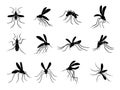 Mosquito. Flying insects carriers of viruses bloodsuckers vector drawn mosquitos Royalty Free Stock Photo