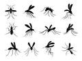 Mosquito. Flying insects carriers of viruses bloodsuckers vector drawn mosquitos