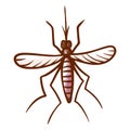 Mosquito hand drawn icon. Winged insect with elongated mouthpart. Parasite blood sucking pictogram. Royalty Free Stock Photo