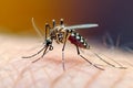 Mosquito on human skin, a close up capturing a common annoyance