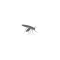 Mosquito icon flat design template vector illustration Royalty Free Stock Photo
