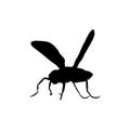 Mosquito icon. Simple style anti mosquito medicine big sale poster background symbol. Mosquito brand logo design element. Mosquito