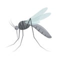 Mosquito insect vector design illustration Royalty Free Stock Photo