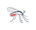 Mosquito, insects, animals, nature and medicine, graphic design. Gnat, insect bloodsucking, pest infectious parasitic spreading, m