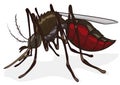 Mosquito Isolated in Cartoon Style, Vector Illustration