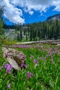 Mosquito Lakes, Sequoia National Park