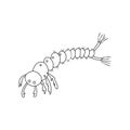 Mosquito larvae icon