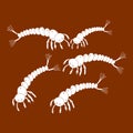 Mosquito larvae icon