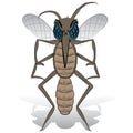 Mosquito mascot stilt front. Ideal for informational and institutional