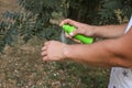 Mosquito repellent. Men using insect spray outdoors, insect bites,mosquito bite,itching of skin diseases,allergy,rashin outdoor Royalty Free Stock Photo