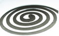 Mosquito Repellent Spiral Coil Isolated on White Background Royalty Free Stock Photo