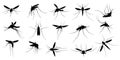 Mosquito silhouette. Flying mosquitoes, swarm insects spreading diseases, dangerous infection and viruses, malaria and dengue.