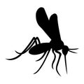 Mosquito silhouette realistic insect. Black mosquito painted on a white isolated background