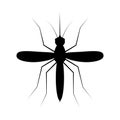 Mosquito silhouette on white background. Isolated vector insect symbol