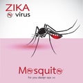 Mosquito Sucking Blood On Skin. Spread of zika and dengue virus. Royalty Free Stock Photo