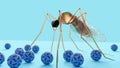 A mosquito surrounded by several dengue virus particles. Royalty Free Stock Photo
