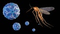 A mosquito surrounded by several dengue virus particles. Royalty Free Stock Photo