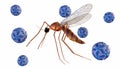 A mosquito surrounded by several dengue virus particles. Royalty Free Stock Photo