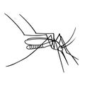 Mosquito on a white background a illustration. Royalty Free Stock Photo