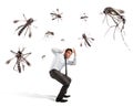 Mosquitoes attack Royalty Free Stock Photo