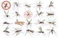 Mosquitoes flat illustrations set. Small flying insect, bites and sucks blood. Neutralize bug