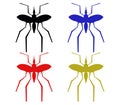 Mosquitoes illustrated