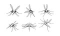 Mosquitoes vector set Royalty Free Stock Photo