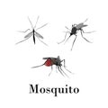 Mosquitoes silhouette vector set Royalty Free Stock Photo