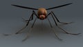 Mosquito Royalty Free Stock Photo