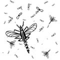 Mosquitos Background