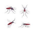 Mosquitos detailed color cartoon vector illustration set. Several insect views Royalty Free Stock Photo
