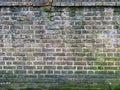 Moss-Adorned Brick Texture Background Royalty Free Stock Photo