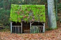 Moss and autumn leaves covered roof of a sheep pen