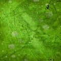 Moss background Royalty Free Stock Photo