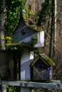 Moss on Birdhouses