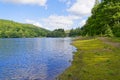 On the moss covered banks of Derwent Reservoir on a summer day