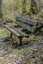 A moss covered bench in the forest Royalty Free Stock Photo