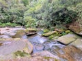 Moss covered boulders in Flat Rock Creek in Sydney New South Wales