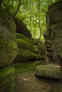 Moss Covered Boulders