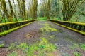 A Moss Covered Bridge Crosses Beaver Creek on the Olympic Peninsula, Washington, USA Royalty Free Stock Photo