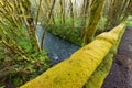 Moss covered bridge over Beaver Creek in the rain forest near Sappho, Washington, USA Royalty Free Stock Photo