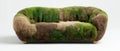 Moss-covered couch in a natural setting Royalty Free Stock Photo