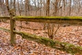 Moss Covered Fence in the Forest during Winter at Suburban Willow Springs Royalty Free Stock Photo