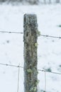 Moss covered fence post with barb wire in winter Royalty Free Stock Photo