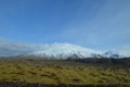 Moss Covered Lava Field In Front of Snaefellsjokull Glacier