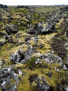 Moss covered lava field Royalty Free Stock Photo